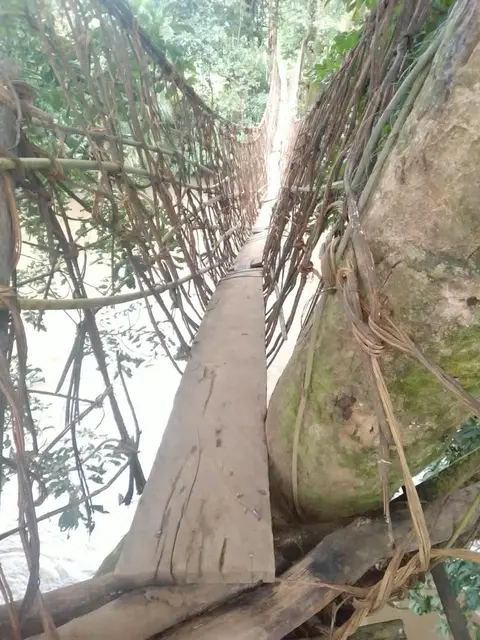 Hanging Bridge