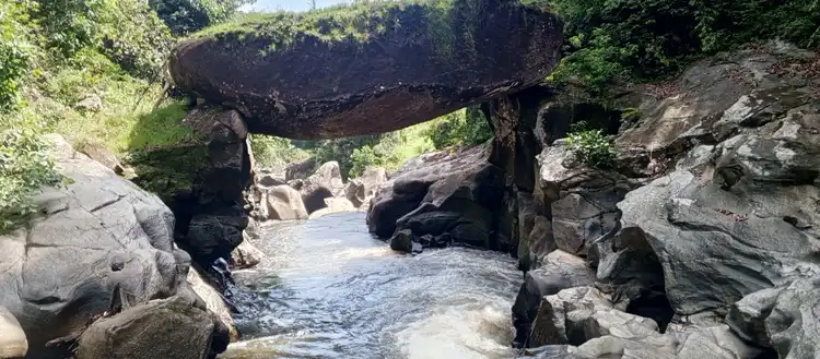 Nature